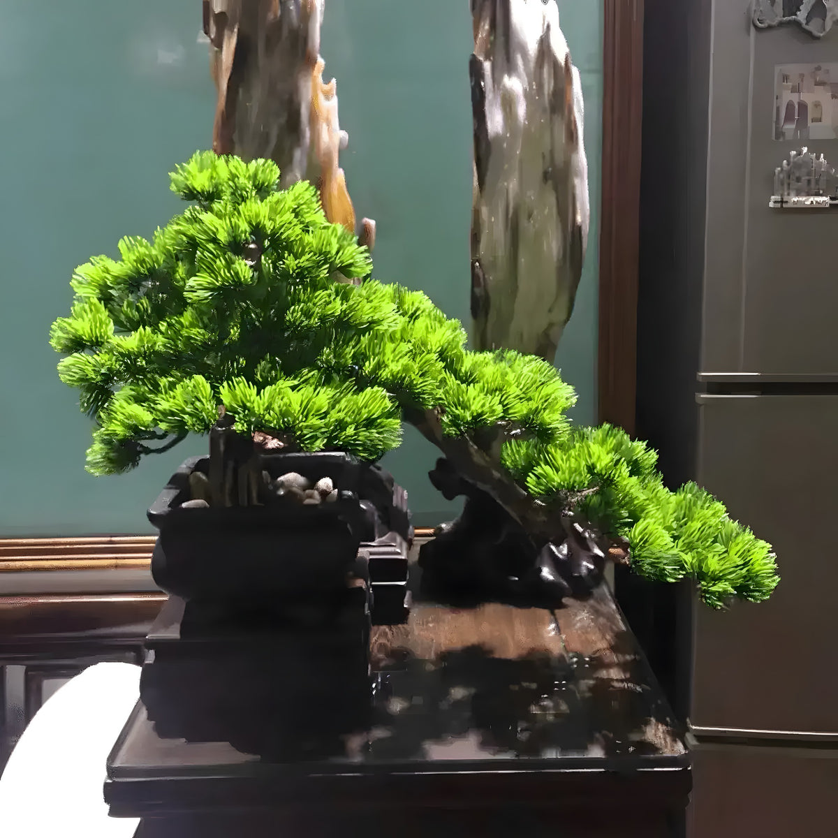 Artificial Bonsai with Real Tree Trunk in Black Pot, gnarled natural trunk with lush green faux foliage in black pot