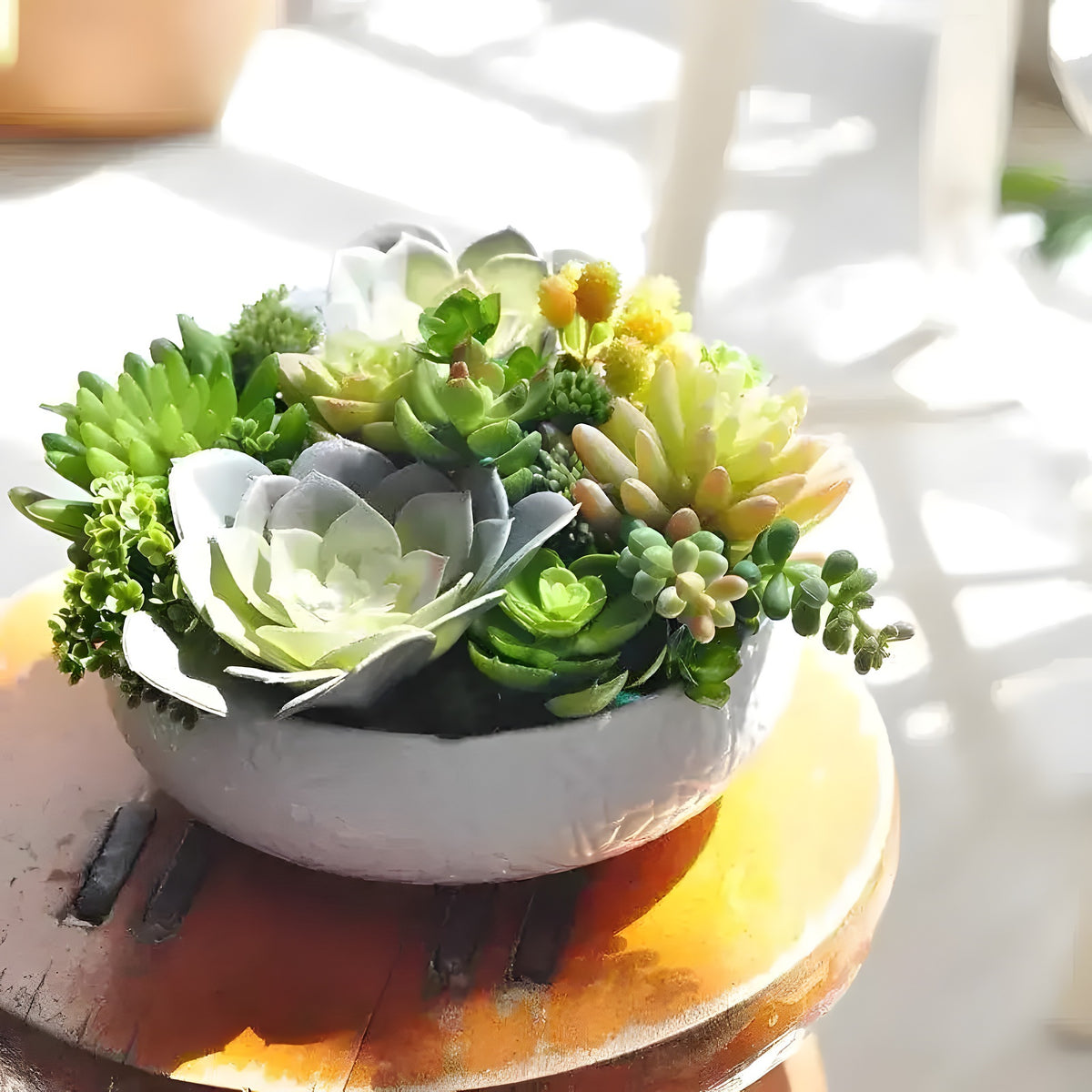 Mixed-variety Dalat artificial succulents in a white bowl on a rustic wooden stool, sunlit indoor setting