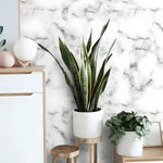 White and Gray Abstract Art Marble mural, Scandi console with tall snake plant and decorative orb