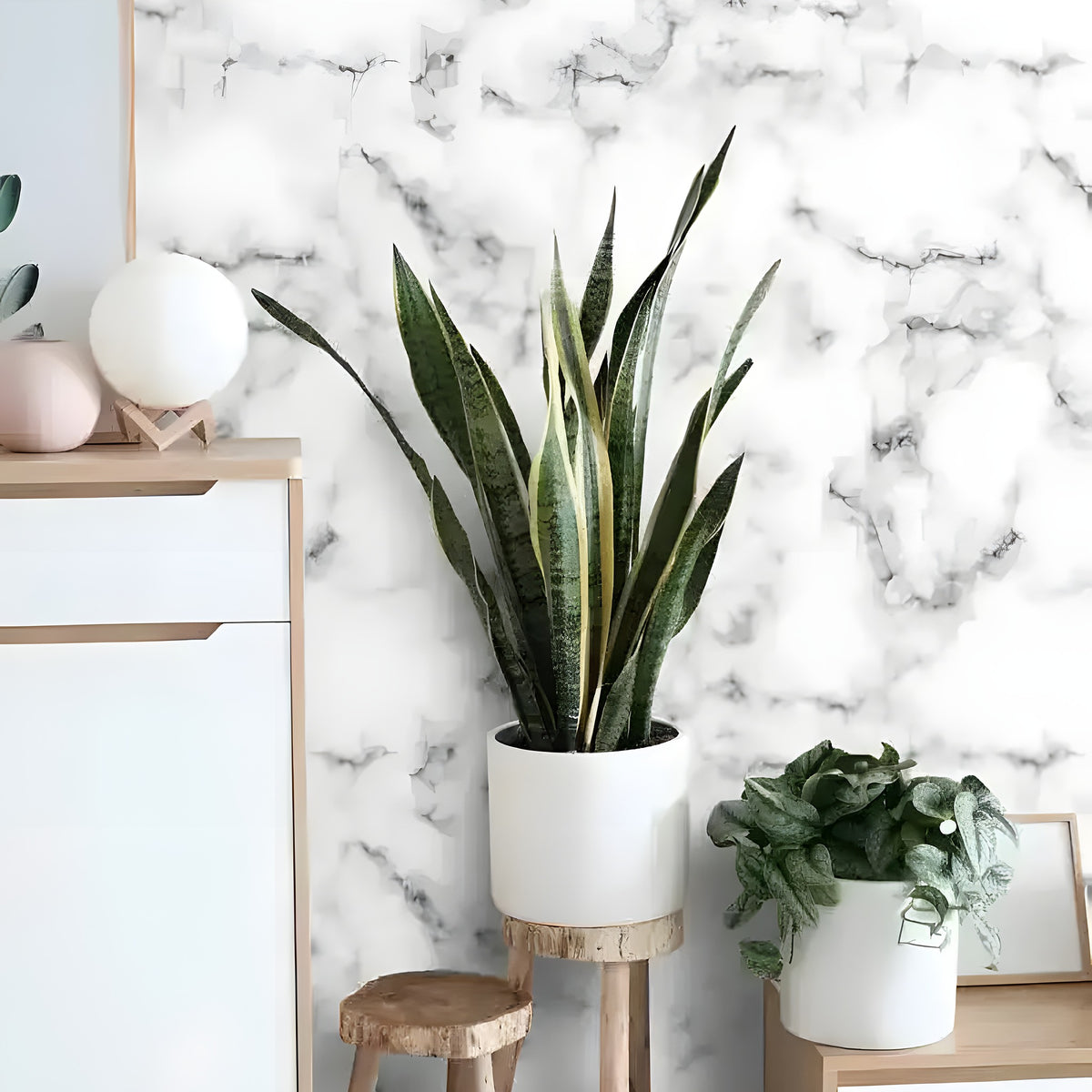 White and Gray Abstract Art Marble mural, Scandi console with tall snake plant and decorative orb