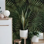 Dark green ferns tropical wallpaper with deep tones on near-black ground, styled with white credenza and snake plant
