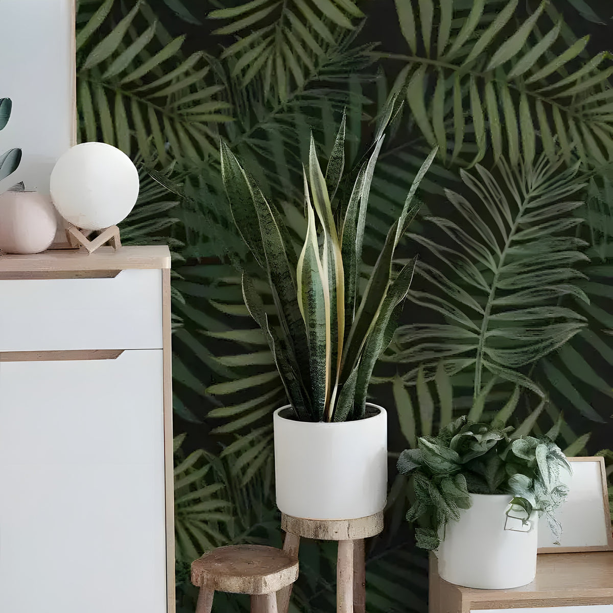 Dark green ferns tropical wallpaper with deep tones on near-black ground, styled with white credenza and snake plant
