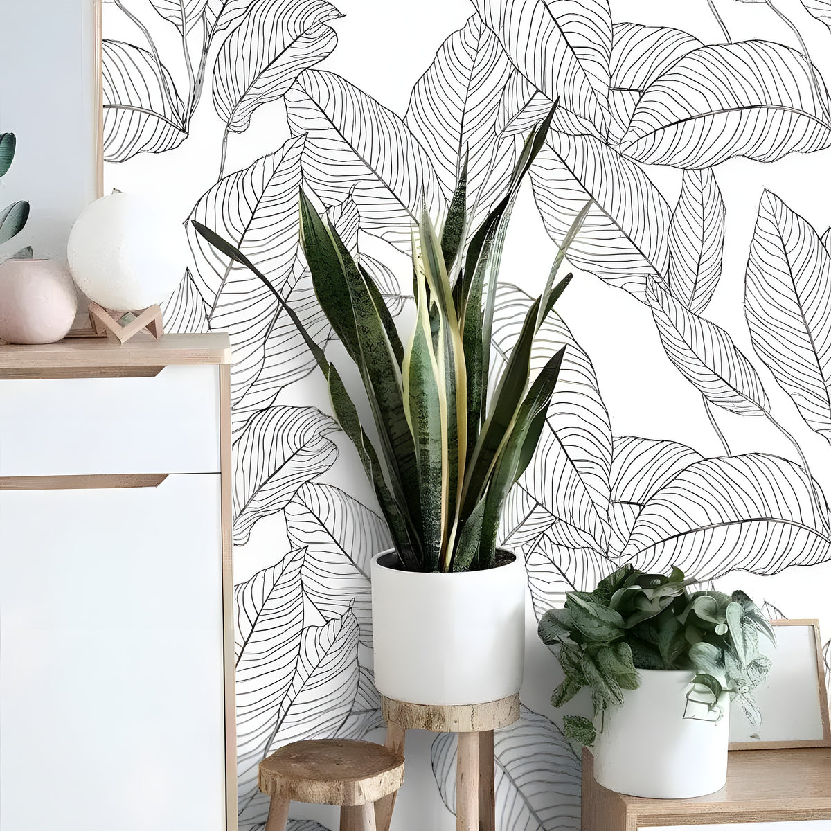 Black and white minimalist linear leaves wallpaper in Scandinavian room, white-wood sideboard with snake plant and sphere decor