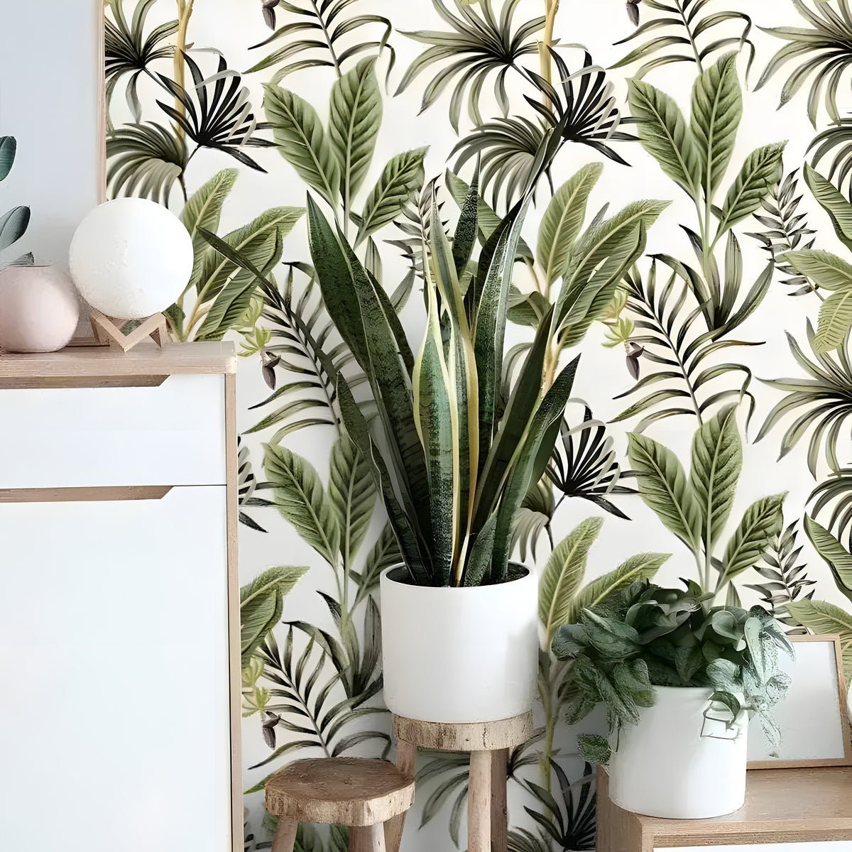 Exotic palm leaf tropical wallpaper in room with white cabinet, potted snake plant on wooden stool