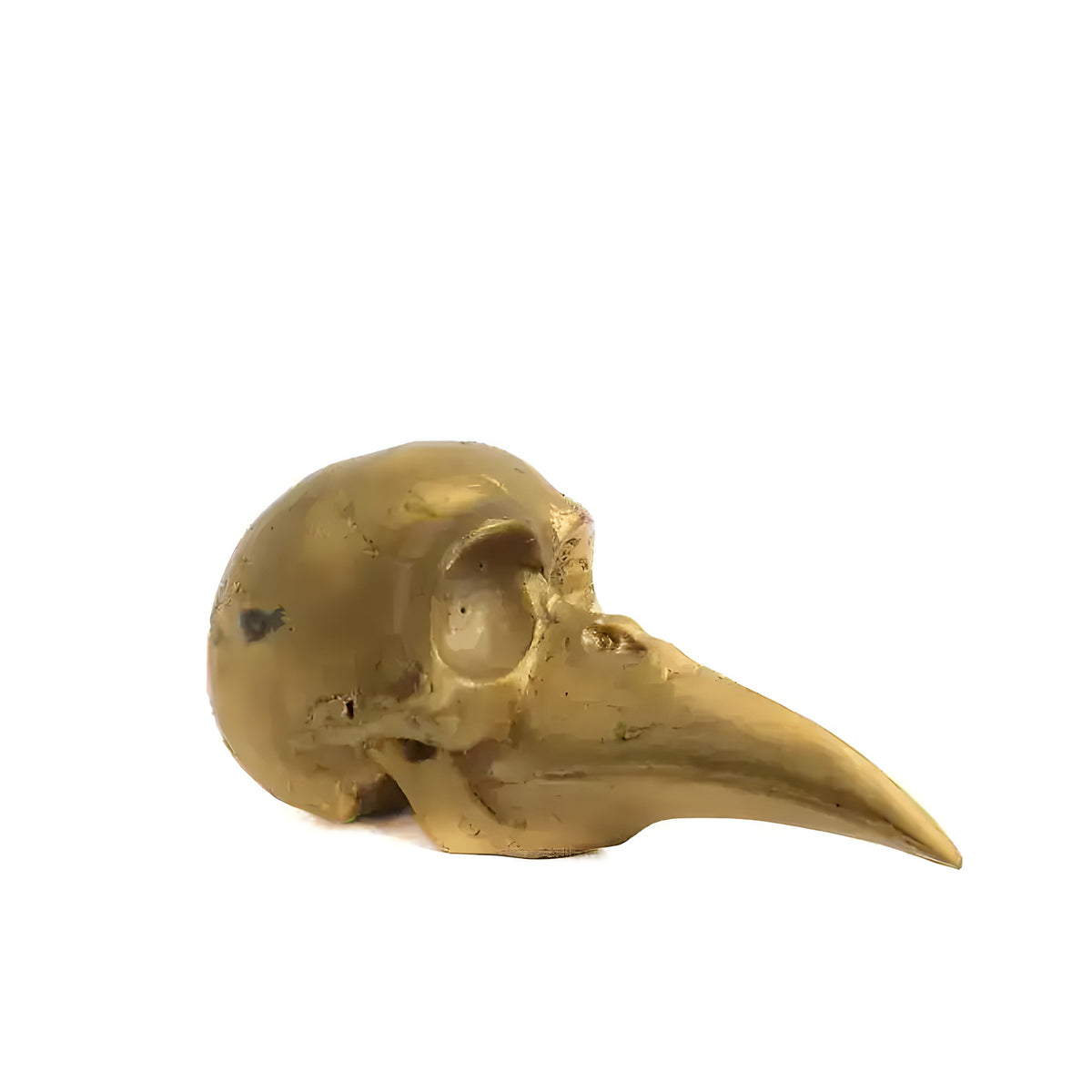 Solid brass bird skull figurine on white background, golden tone, elongated pointed beak, side view