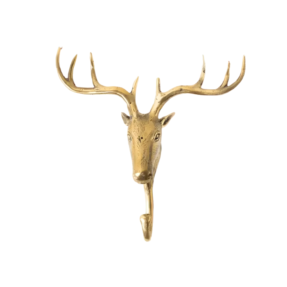 Polished brass deer head wall hook with wide branching antlers, single hook below chin, grey background