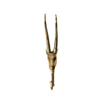 Brass antelope wall hook front view, golden finish, tall ridged double horns, textured face, white background