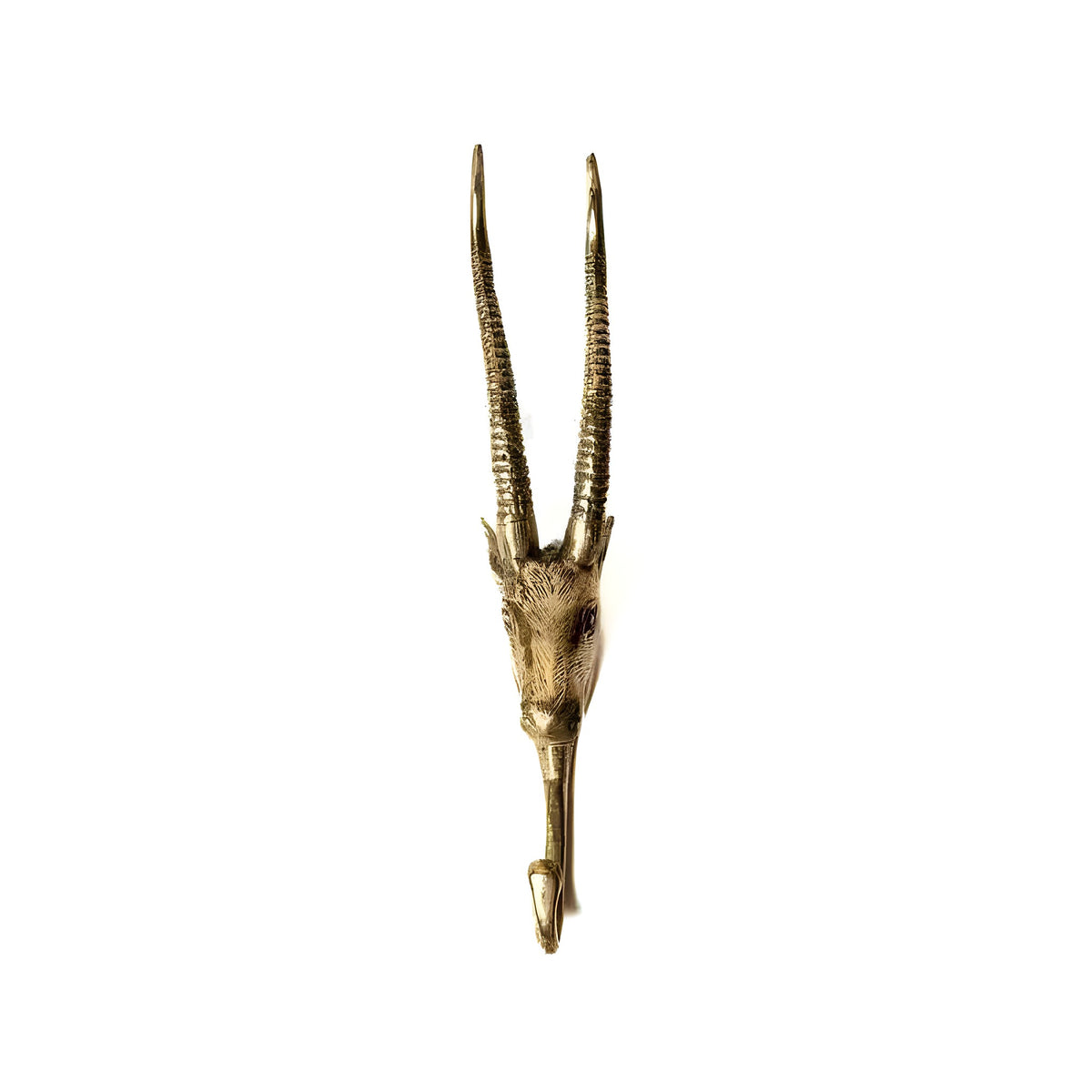 Brass antelope wall hook front view, golden finish, tall ridged double horns, textured face, white background