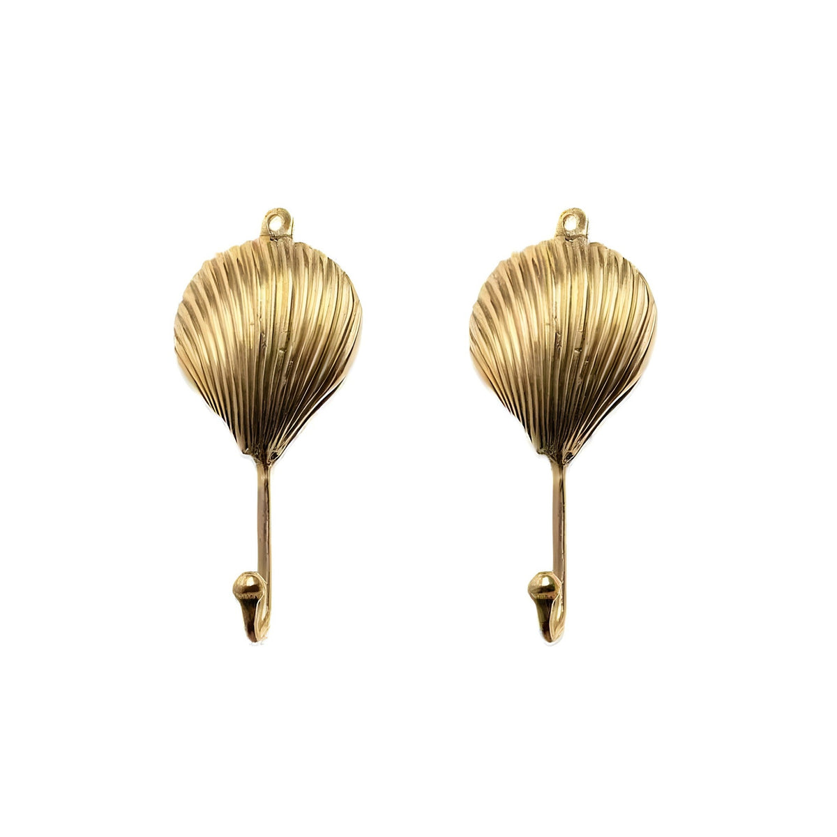 Two gold brass shell-shaped wall hooks, front view, ridged scallop shell design with mounting loop and curved hook
