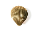 Solid brass clam shell wall hook front view, fan-shaped shell with radiating ribs, antiqued gold, white