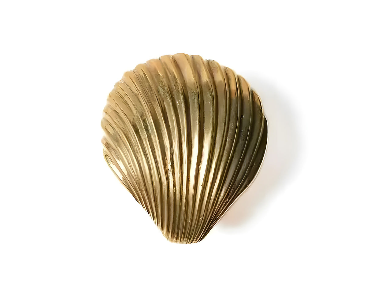 Solid brass clam shell wall hook front view, fan-shaped shell with radiating ribs, antiqued gold, white