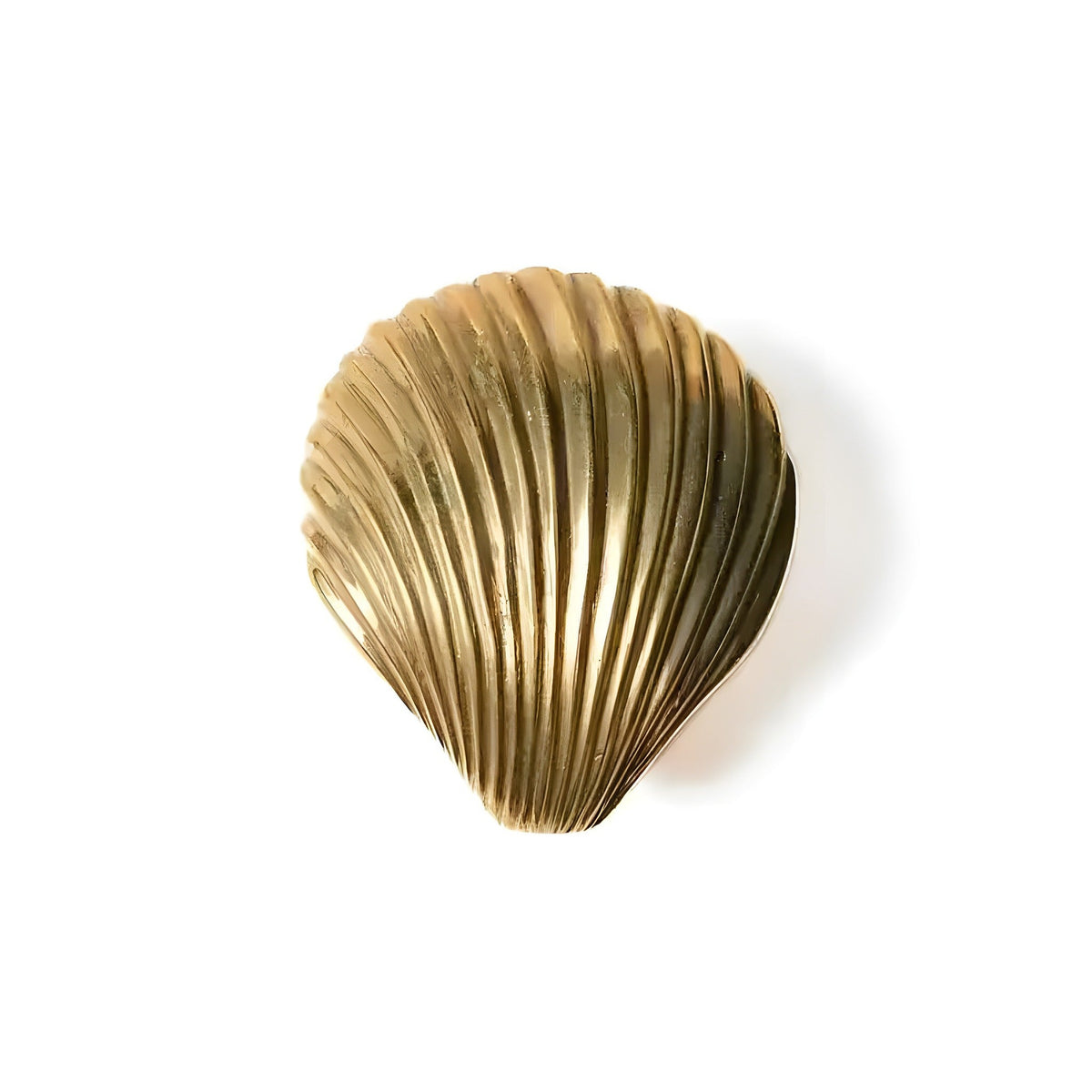 Solid brass clam shell wall hook front view, fan-shaped shell with radiating ribs, antiqued gold, white