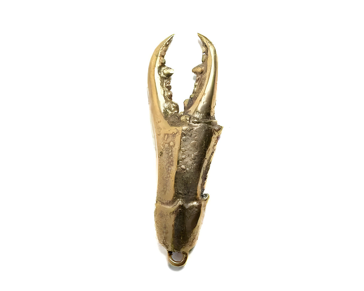 Solid Brass Lobster Claw Bottle Opener, vertical front view showing dual pincers and textured body, gold finish