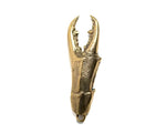 Solid Brass Lobster Claw Bottle Opener, vertical front view showing dual pincers and textured body, gold finish