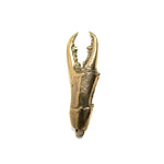 Solid Brass Lobster Claw Bottle Opener, vertical front view showing dual pincers and textured body, gold finish
