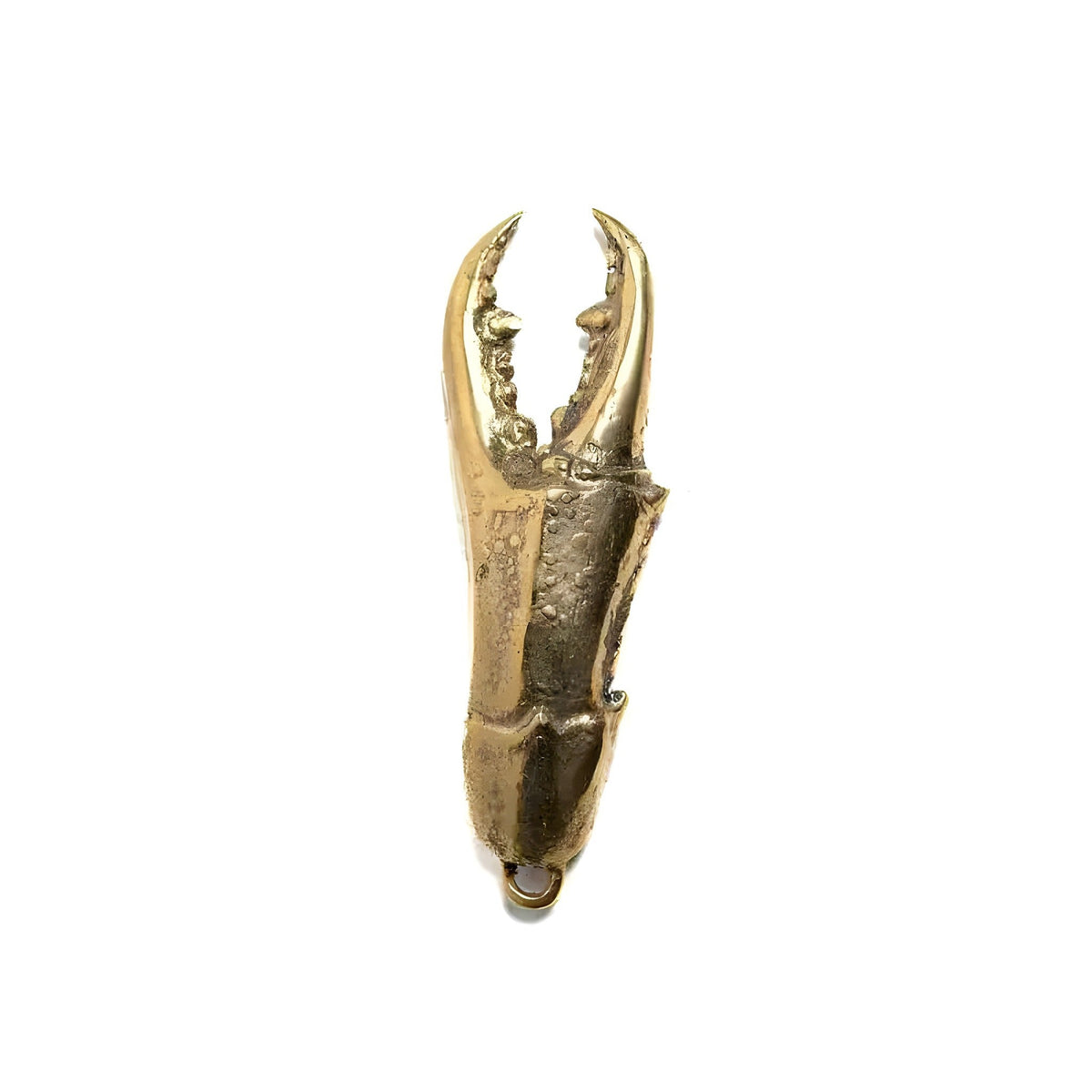 Solid Brass Lobster Claw Bottle Opener, vertical front view showing dual pincers and textured body, gold finish