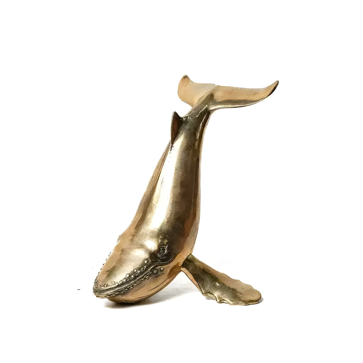 Polished brass posing whale figurine with tail raised upward, head at base, white background