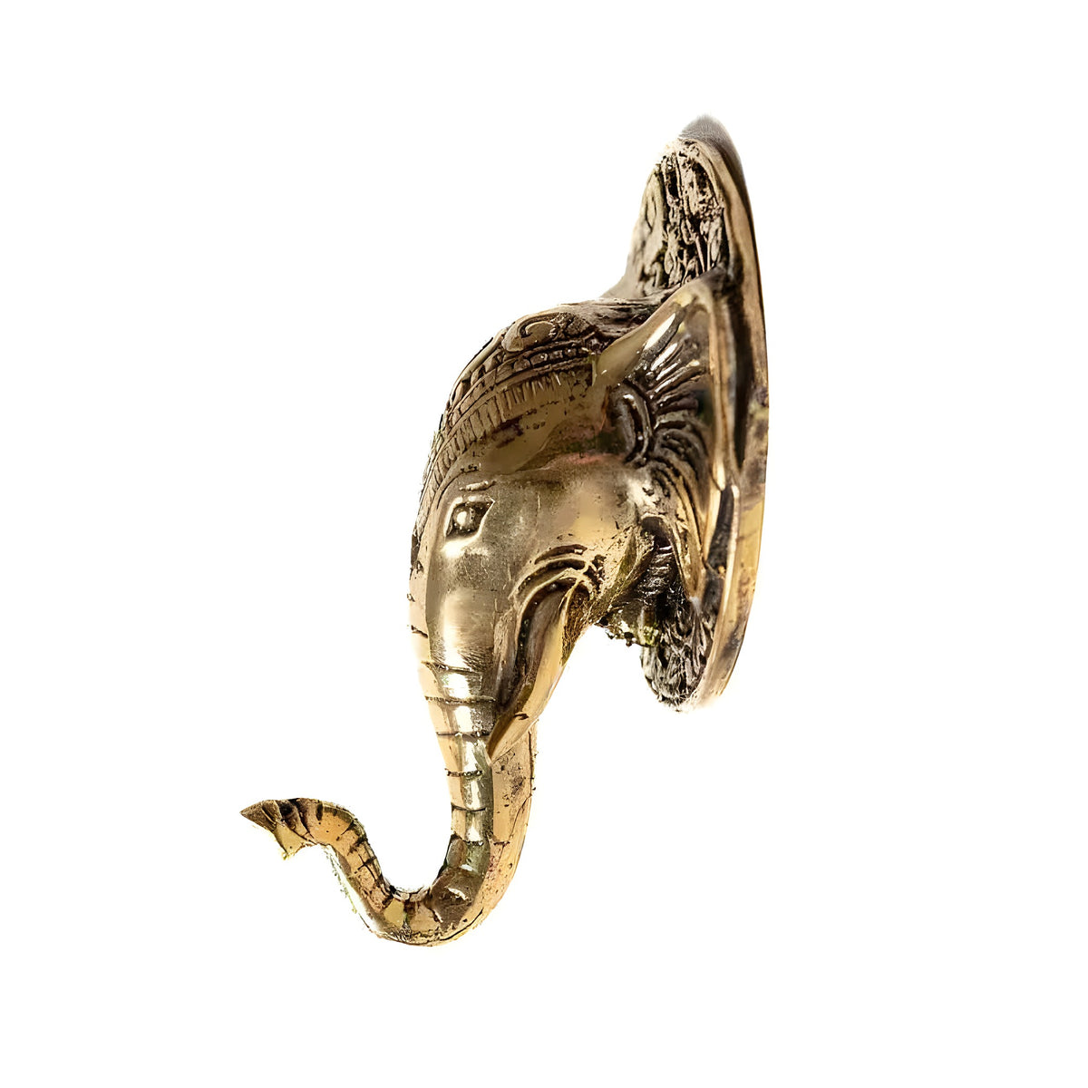 Polished gold brass elephant head wall hook, curled trunk forming hook, ornate circular backplate, white background