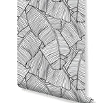 Rolled black and white tropical banana leaves wallpaper with detailed line art of large overlapping leaves