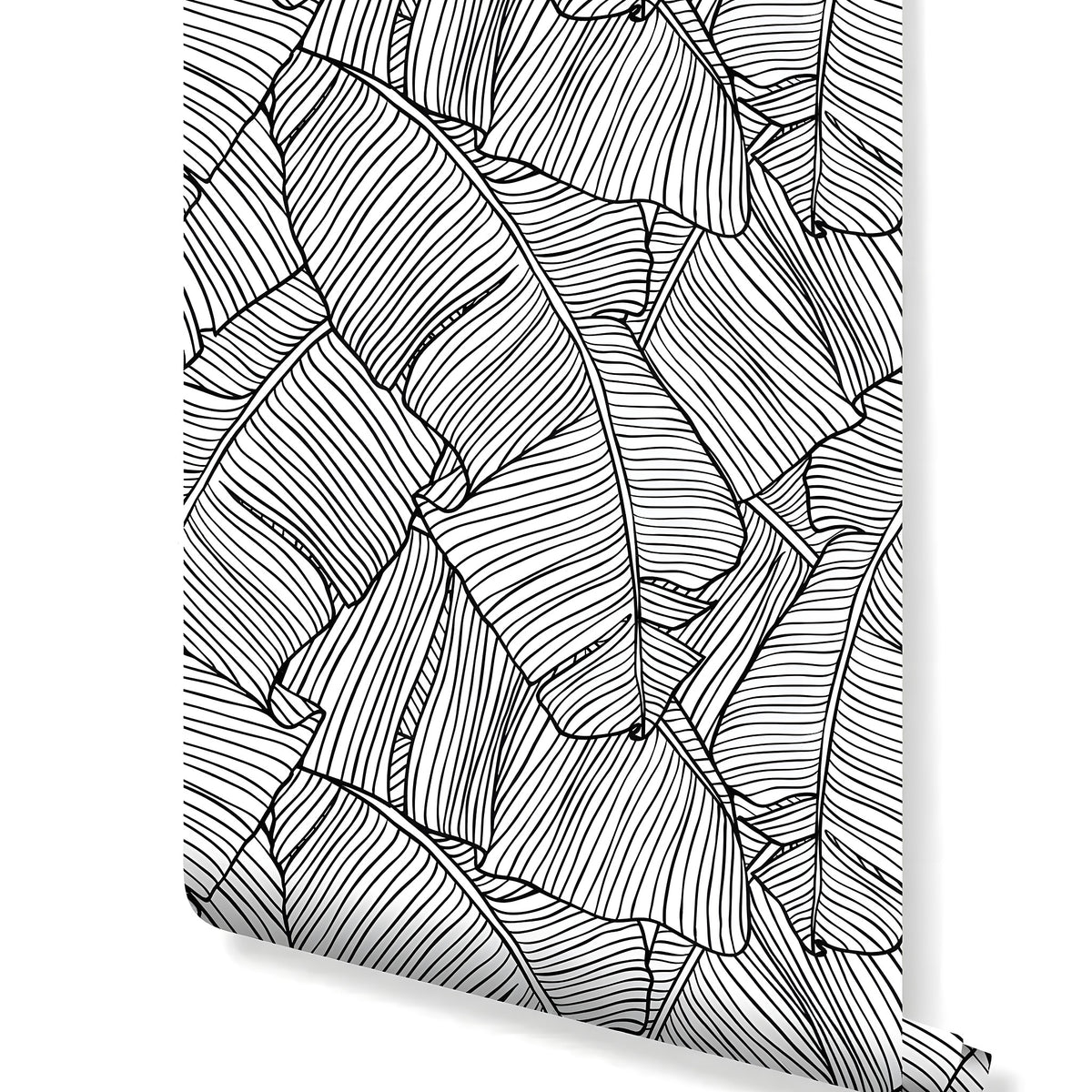 Rolled black and white tropical banana leaves wallpaper with detailed line art of large overlapping leaves