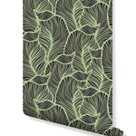 Green tropical leaves removable wallpaper roll with dark background and sage line art pattern