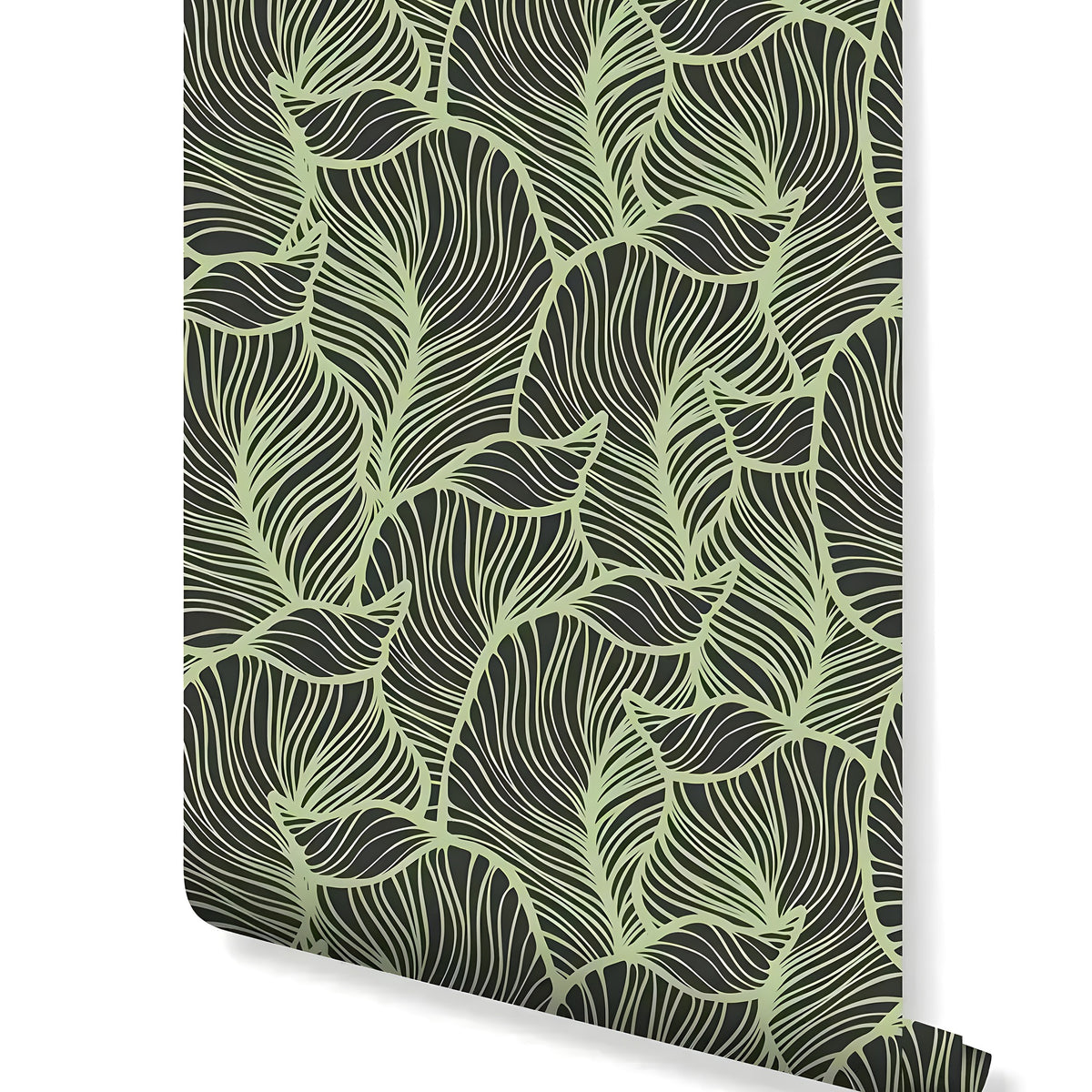 Green tropical leaves removable wallpaper roll with dark background and sage line art pattern
