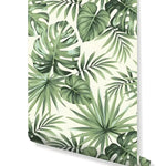 Roll of tropical palm leaves removable wallpaper with lush green monstera and palm fronds on cream background