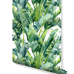 Rolled swatch of tropical palm and banana leaves watercolor wallpaper in lush deep greens on white background
