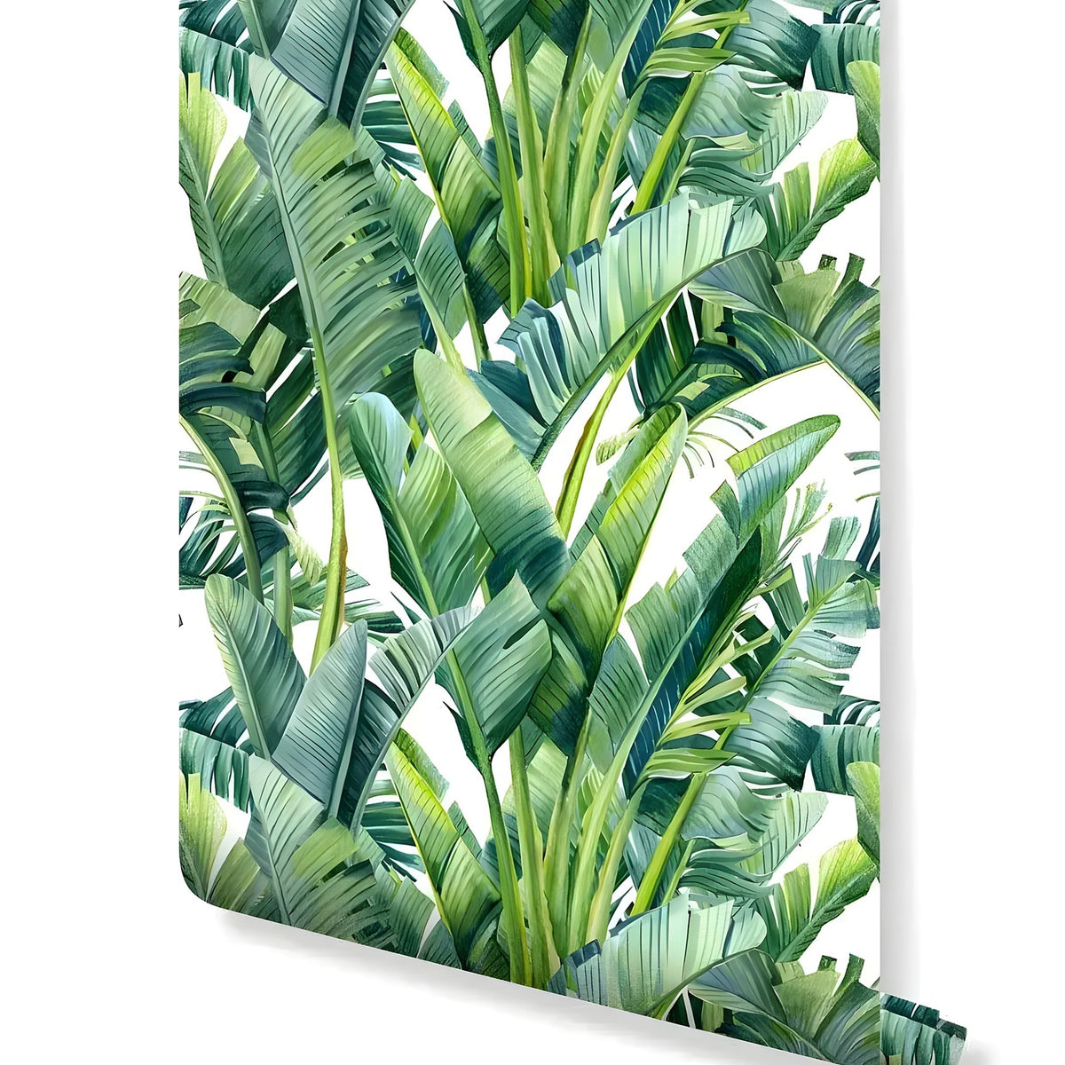 Rolled swatch of tropical palm and banana leaves watercolor wallpaper in lush deep greens on white background