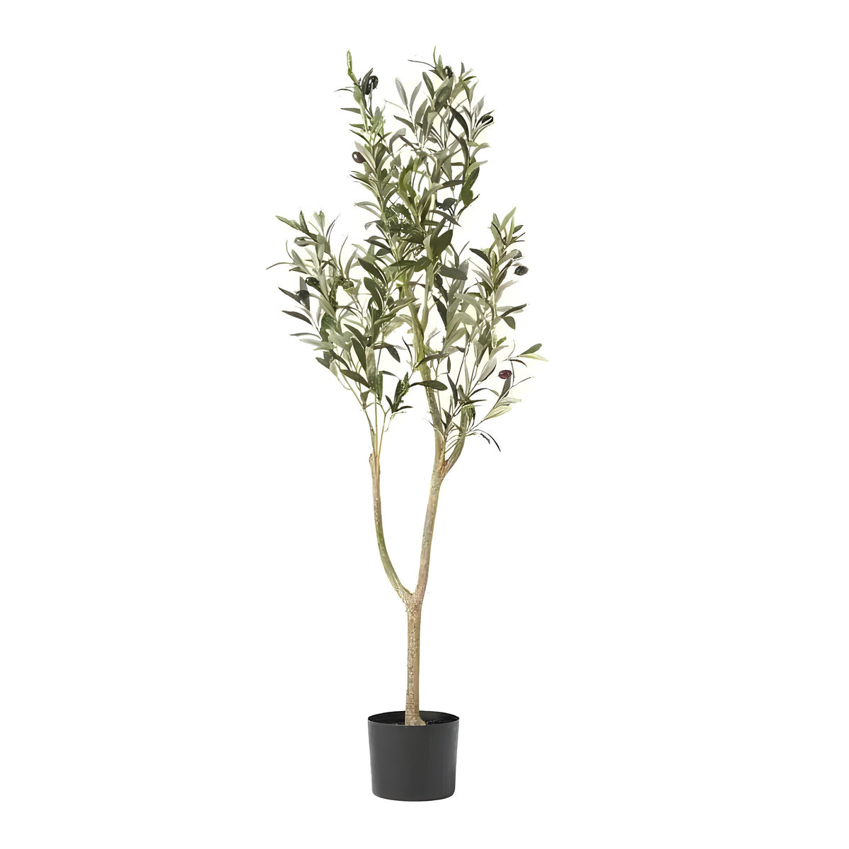 Tall artificial olive tree in black nursery pot, white background, narrow green leaves, tiny dark olive fruits