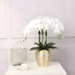 Artificial orchid plant with white phalaenopsis blooms in a textured gold oval pot, clear glass vase alongside, white paneled wall