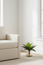A modern light beige armchair in a bright, minimalist room next to a small green potted plant in a clear glass vase on a light rug.