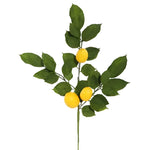 Single artificial lemon branch, dark green leaves and three yellow fruit on wire stem, white background