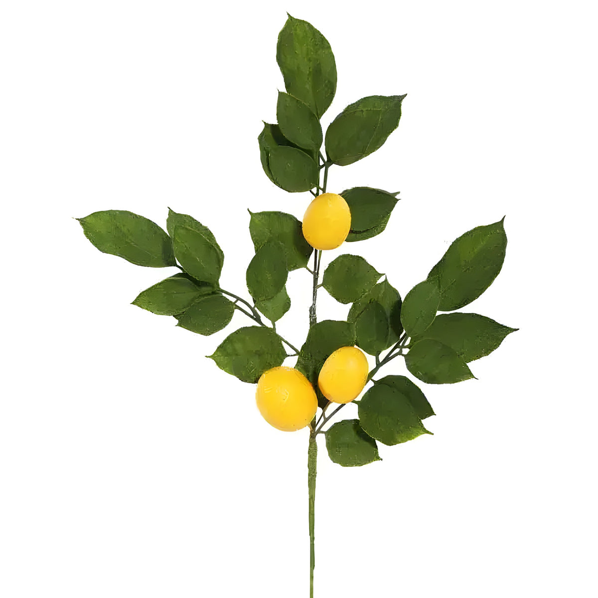 Single artificial lemon branch, dark green leaves and three yellow fruit on wire stem, white background