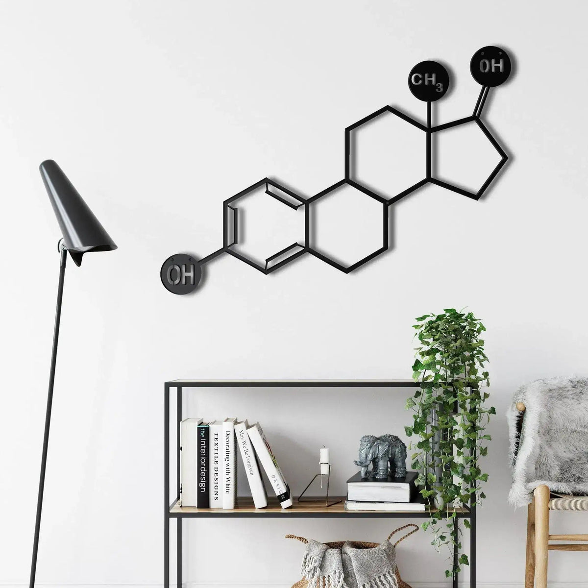 Black estrogen molecule metal wall art with CH3 and OH nodes on white wall above metal bookshelf