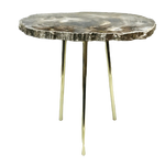 Petrified wood agate accent table with dark fossil-ring round slab top on three brass legs, white background