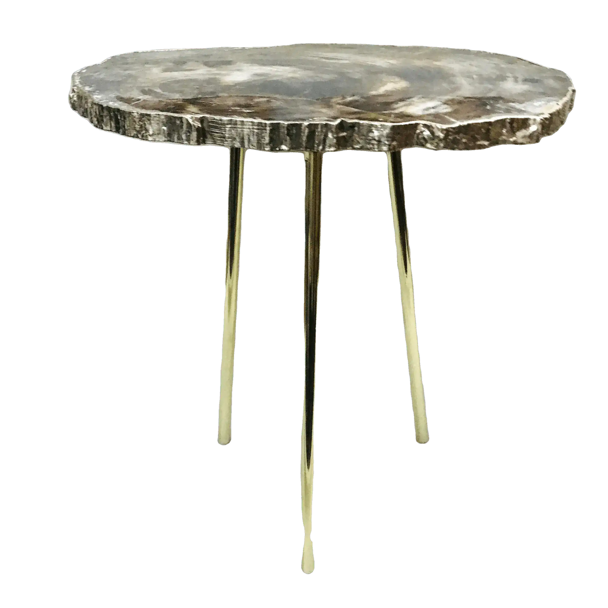Petrified wood agate accent table with dark fossil-ring round slab top on three brass legs, white background