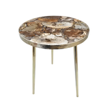 Petrified wood agate round coffee table with fossilized wood mosaic top showing tree ring patterns in brown, rust and cream, gold rim