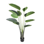 5 ft artificial banana leaf tree with large dark green oval leaves on slim stems in black pot, white background