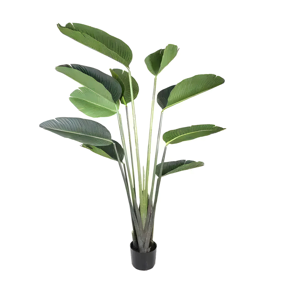 5 ft artificial banana leaf tree with large dark green oval leaves on slim stems in black pot, white background