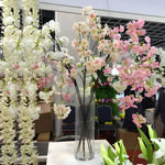 Extra-large cherry blossom branches in pink and white displayed in a glass cylinder vase, trade show setting