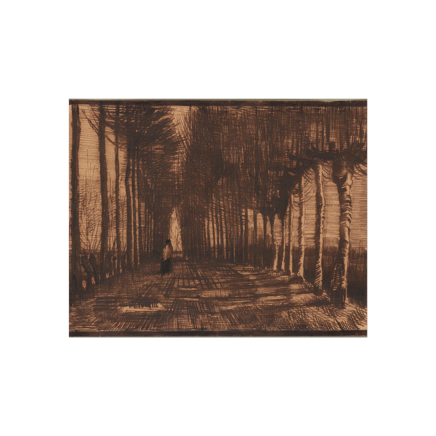 Vincent van Gogh - Avenue of Pollard Birches and Poplars | Fine Art Poster