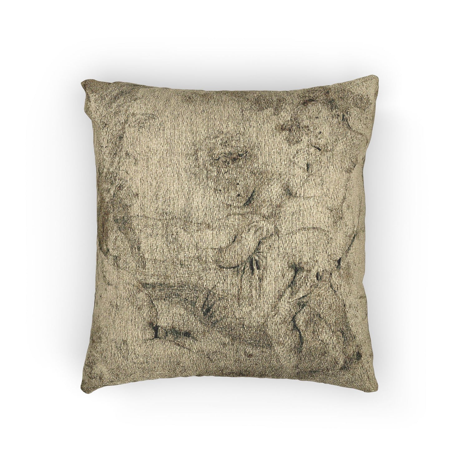 Anthony van Dyck - Young Bacchus and Companions | Woven Pillow