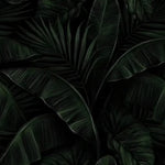 Dark tropical wallpaper — dense dark green banana leaves and palm fronds, overlapping all-over pattern, near-black background