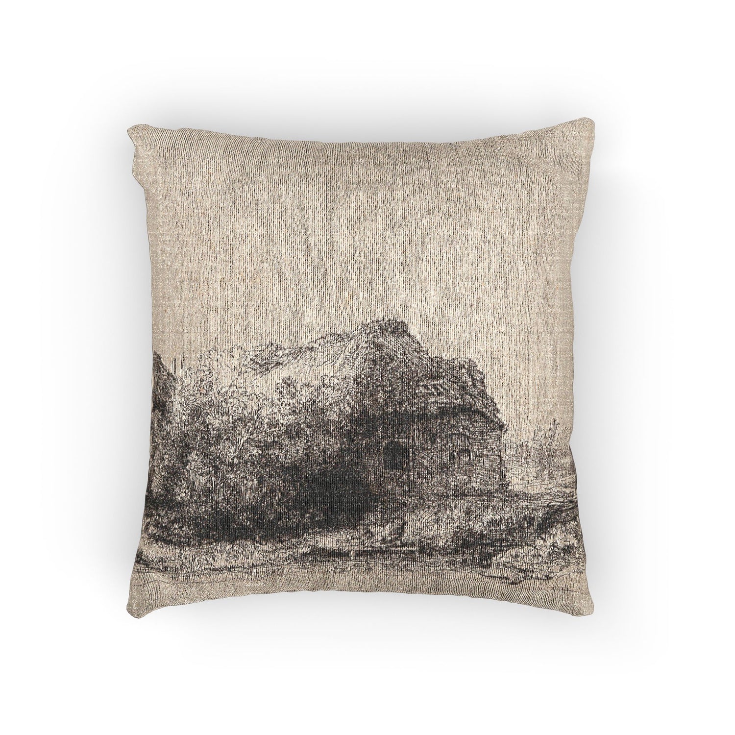 Landscape with Cottages and a Hay Barn - Rembrandt van Rijn Pillow