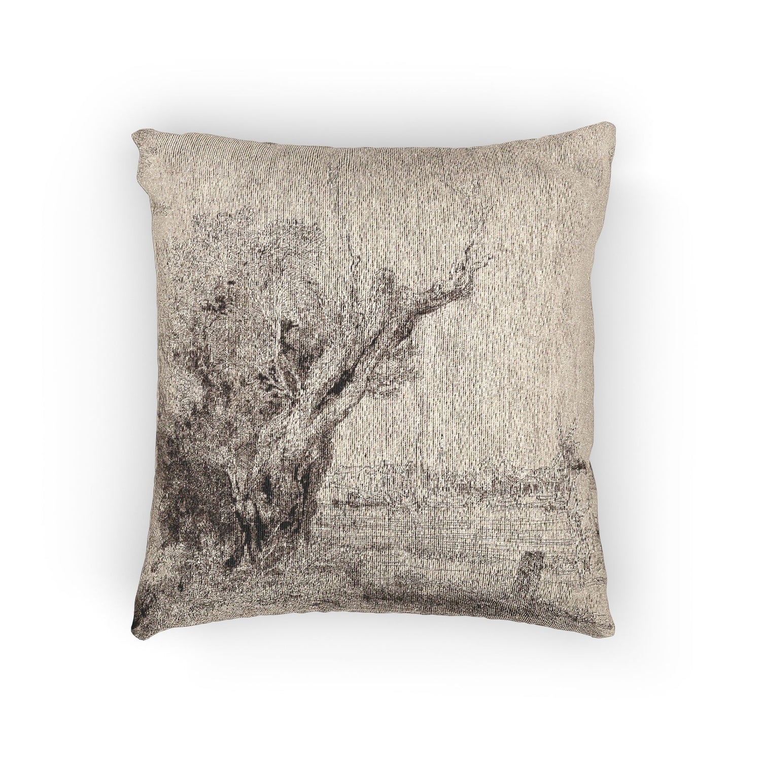Rembrandt van Rijn - The Omval | Woven Pillow