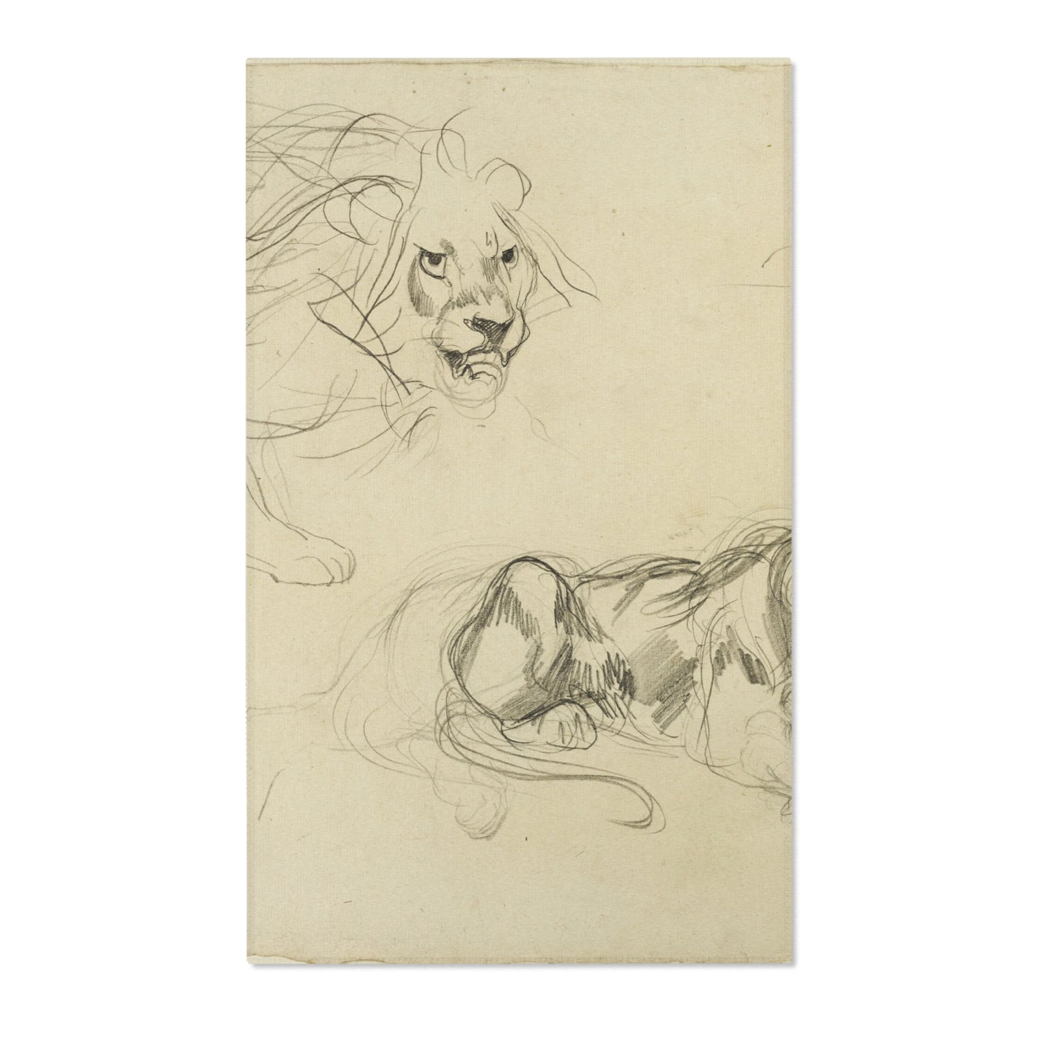 Studies of Lions - Eugène Delacroix Area Rug