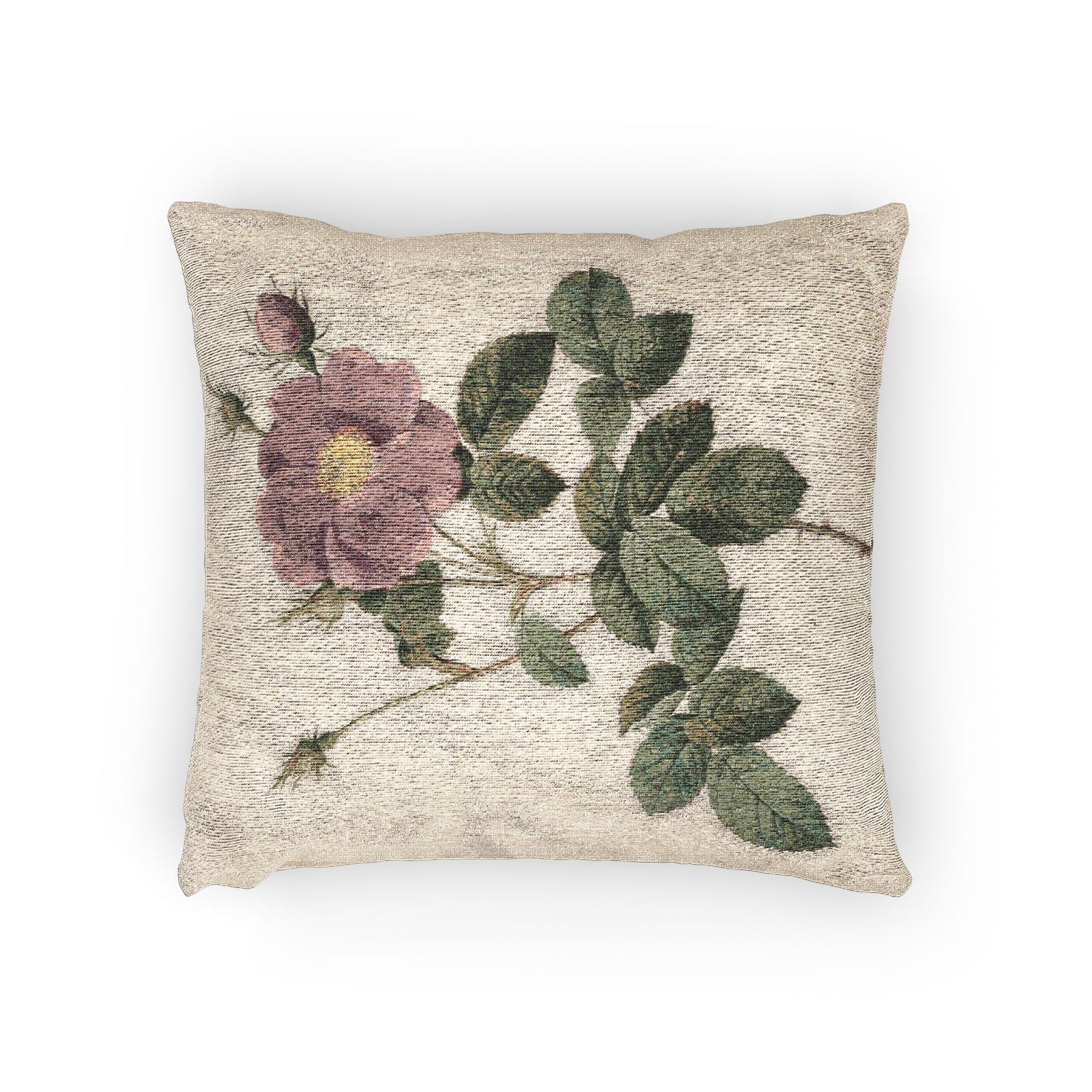 Cabbage Rose - P. J. Redouté Pillow