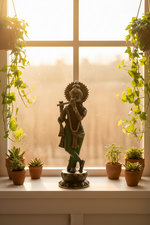 A dark green and bronze statue of a flute-playing deity stands on a windowsill, surrounded by small potted plants and hanging green vines in a warm, sunlit room.