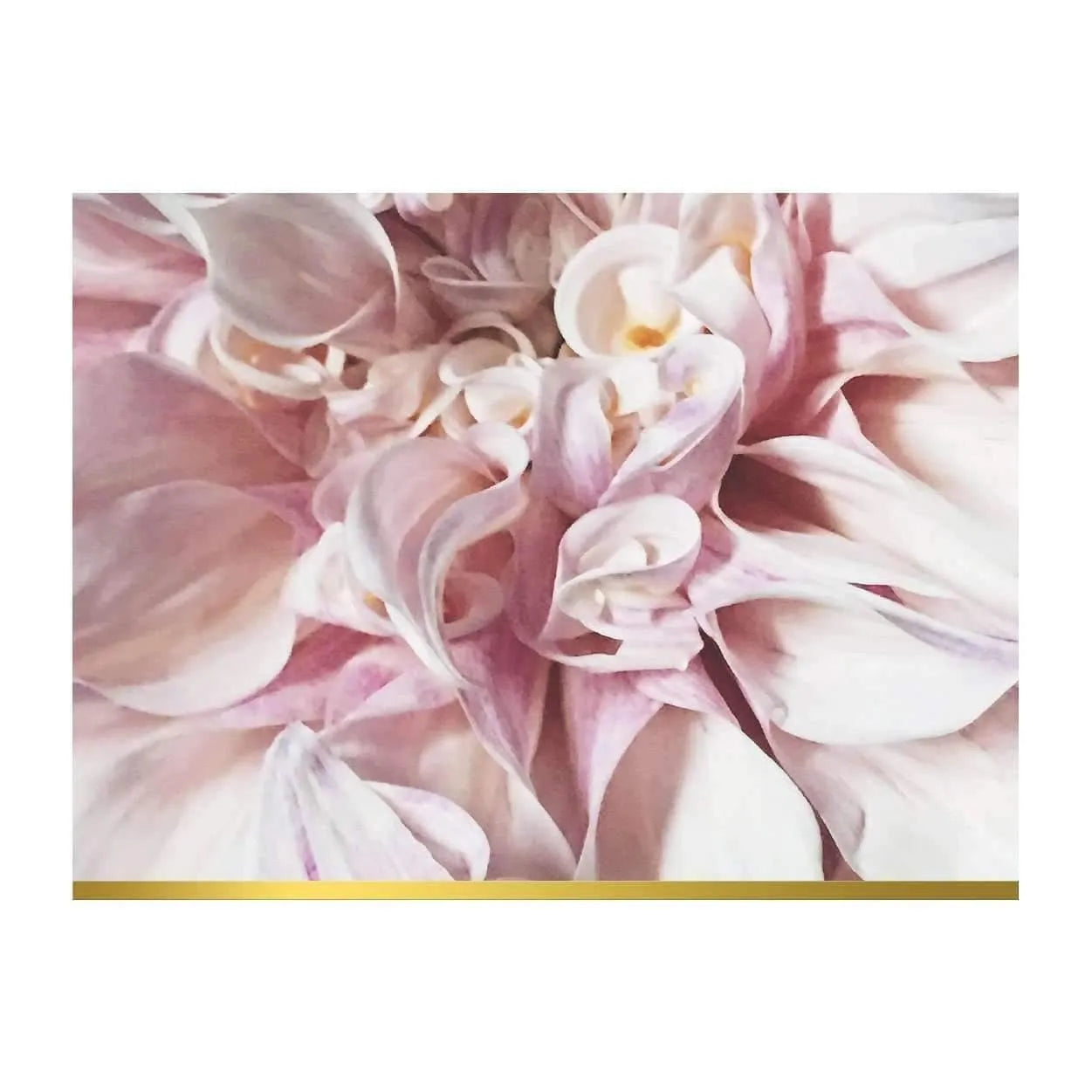 Ashley Woodson Bailey Greeting Assortment Notecard Set Ashley Woodson Bailey Greeting Assortment Notecard Set Ashley Woodson Bailey Greeting Assortment Notecard Set 